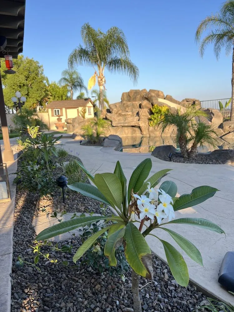 Affordable landscape design in Riverside, CA by The Landscape Contractor