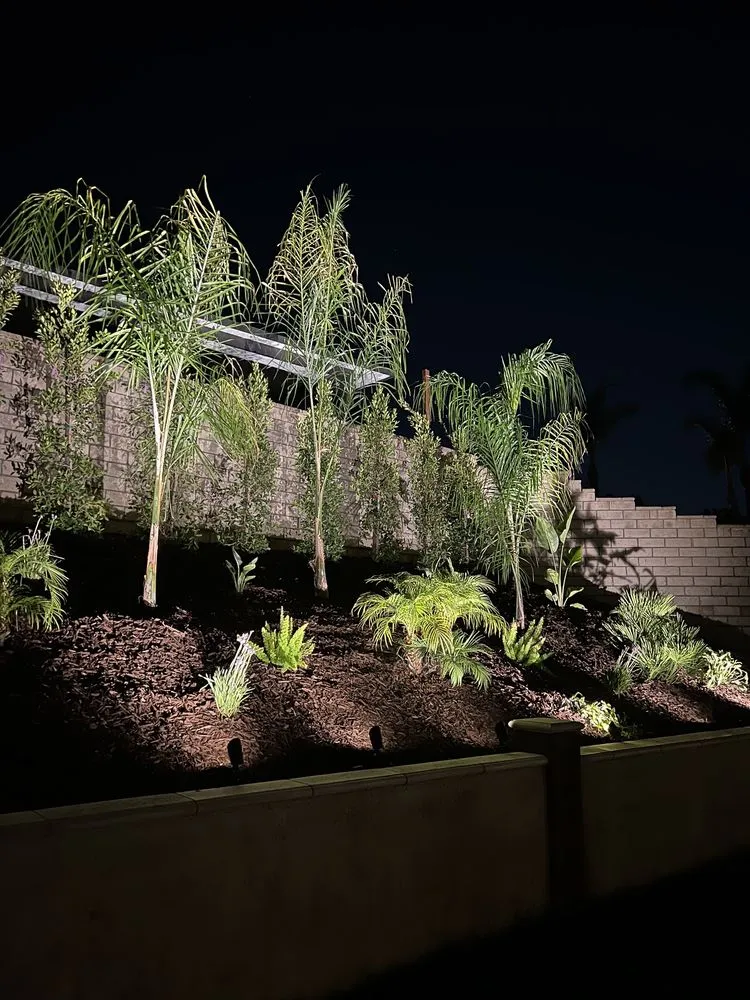 Affordable lawn mowing service experts serving Riverside, CA - The Landscape Contractor