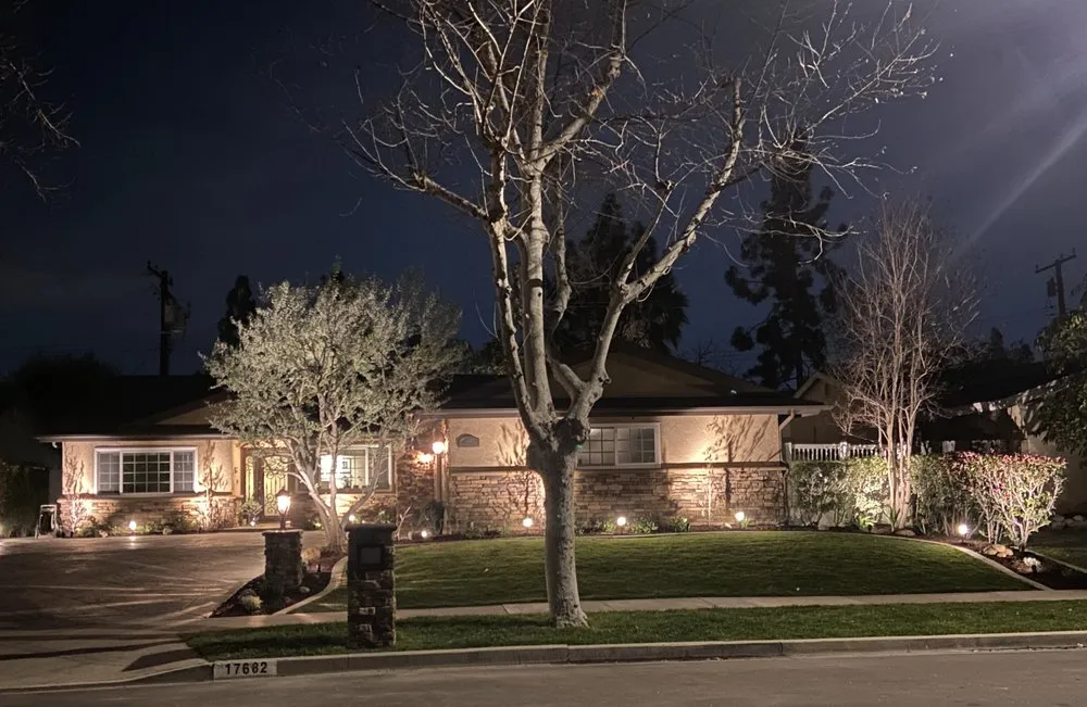 Expert yard cleanup service experts serving Riverside, CA - The Landscape Contractor