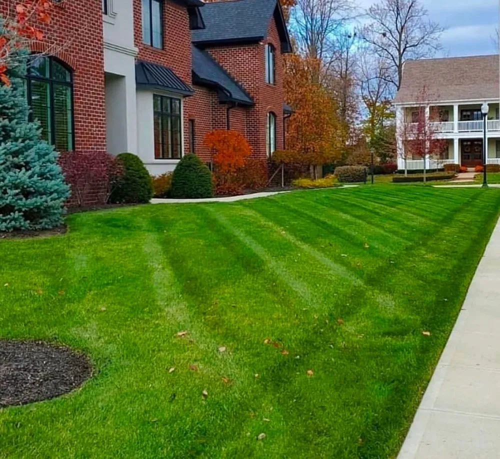 Custom landscaping services for year-round maintenance across Des Plaines, IL - The Landscape Dept