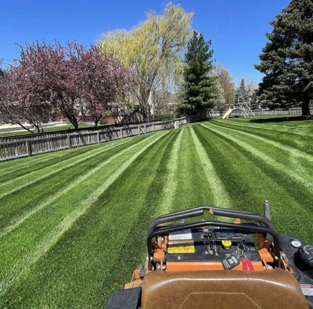 Professional lawn mowing service with custom design across Des Plaines, IL - The Landscape Dept