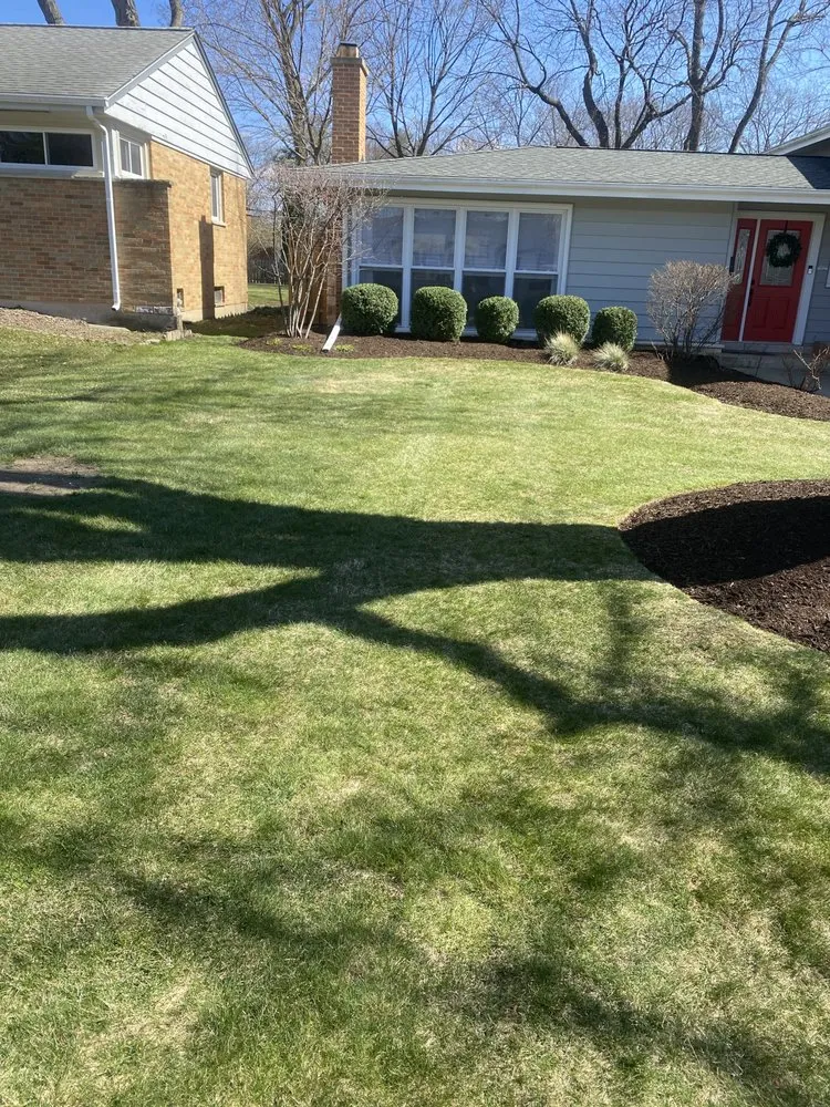 Local yard cleanup service in Des Plaines, IL - The Landscape Dept