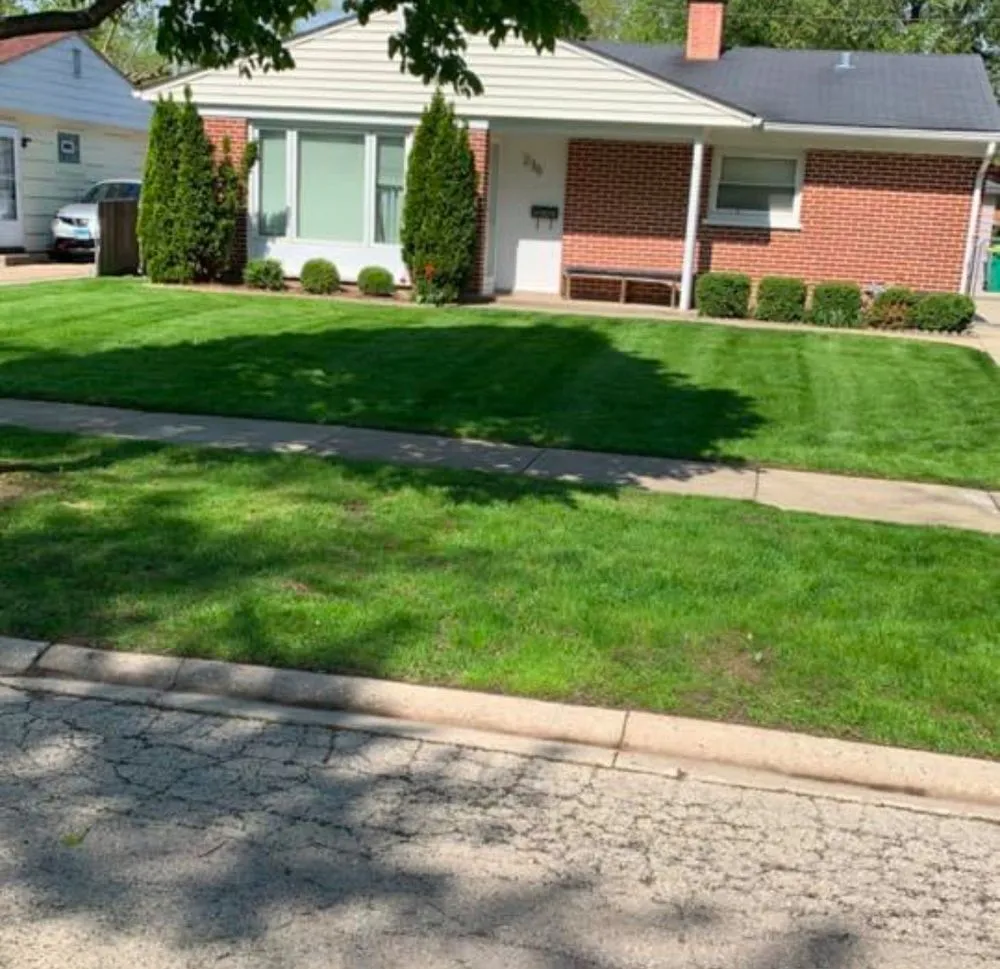 Affordable landscape installation for year-round maintenance in Des Plaines, IL by The Landscape Dept