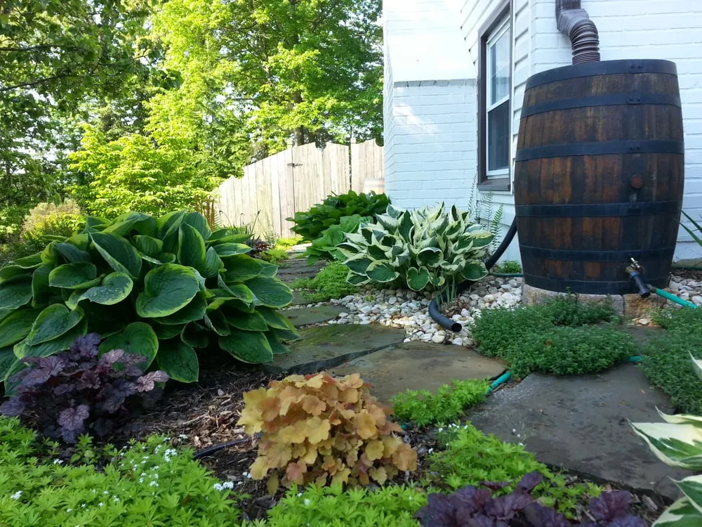 Affordable yard cleanup service in Edgewater, MD - The Landscape Design Center