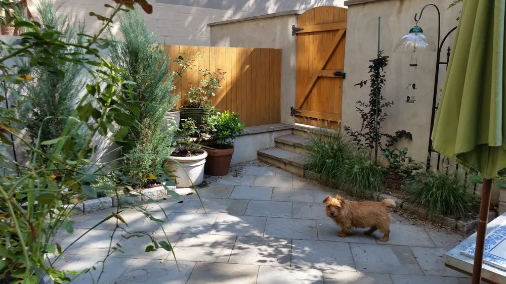 Custom yard cleanup service in Edgewater, MD - The Landscape Design Center