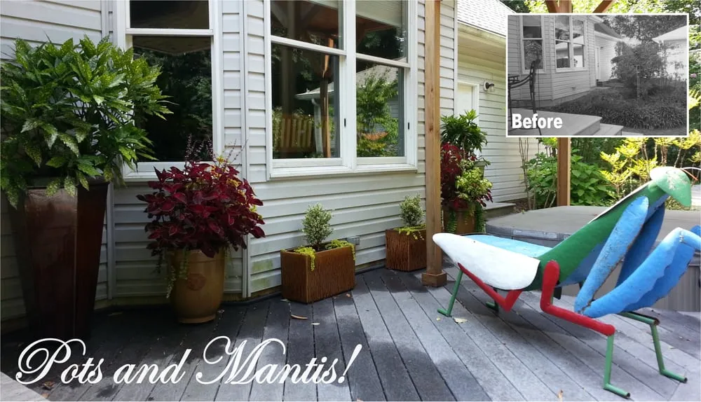 Professional lawn care service in Edgewater, MD - The Landscape Design Center