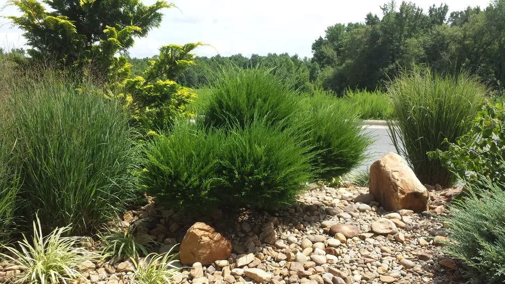 Top-rated outdoor landscaping for homes in Cramerton, NC by The Landscape Design Guy