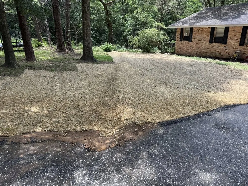 Expert residential landscaping experts serving Semmes, AL - The Landscape Experts