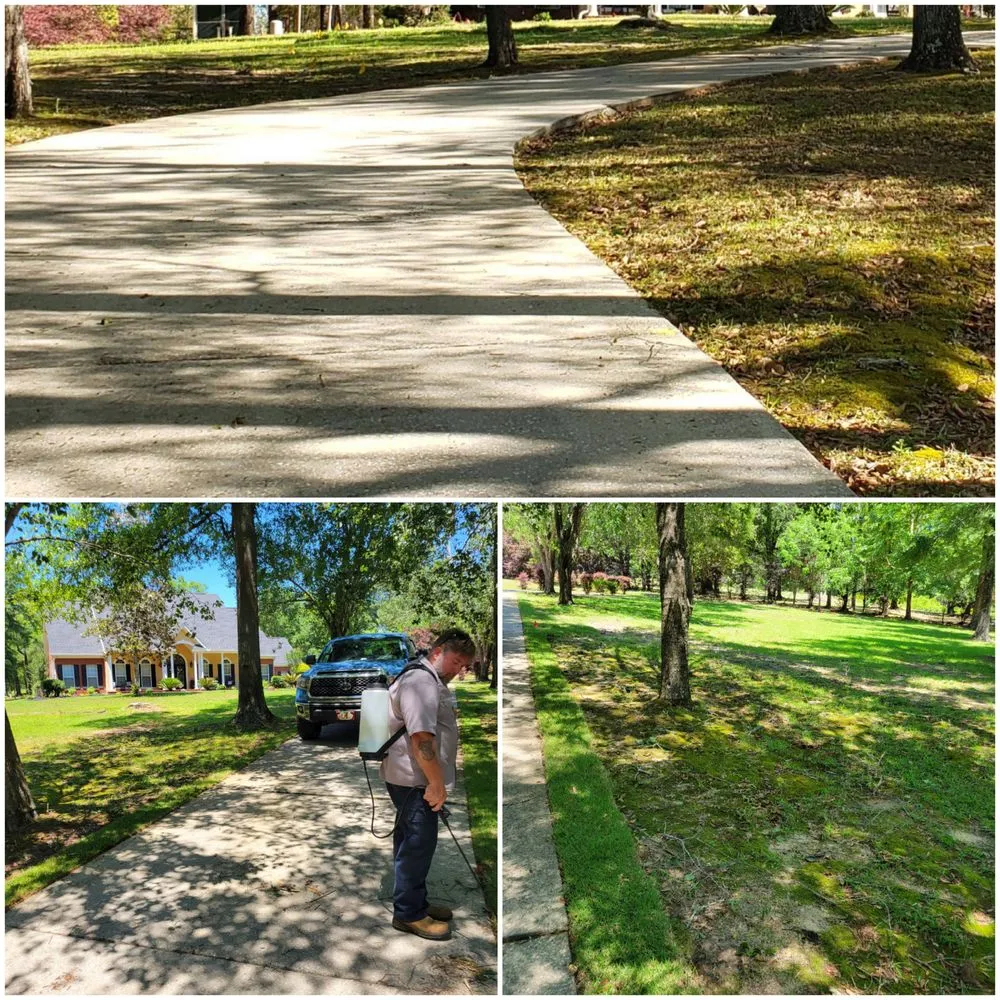 Reliable landscaping services near you across Semmes, AL - The Landscape Experts
