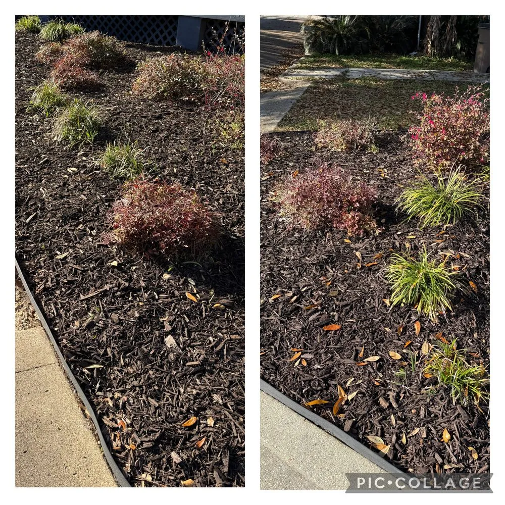 Trusted yard cleanup service in Semmes, AL by The Landscape Experts