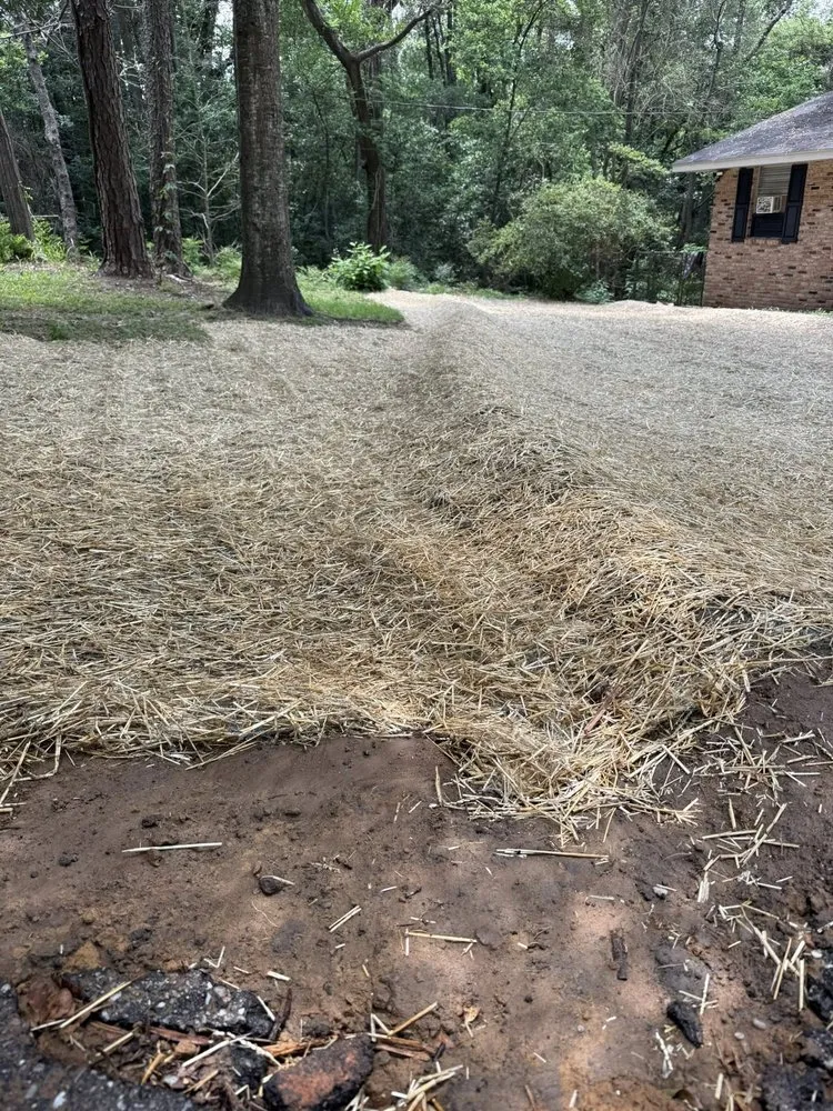 Affordable lawn mowing service experts serving Semmes, AL - The Landscape Experts