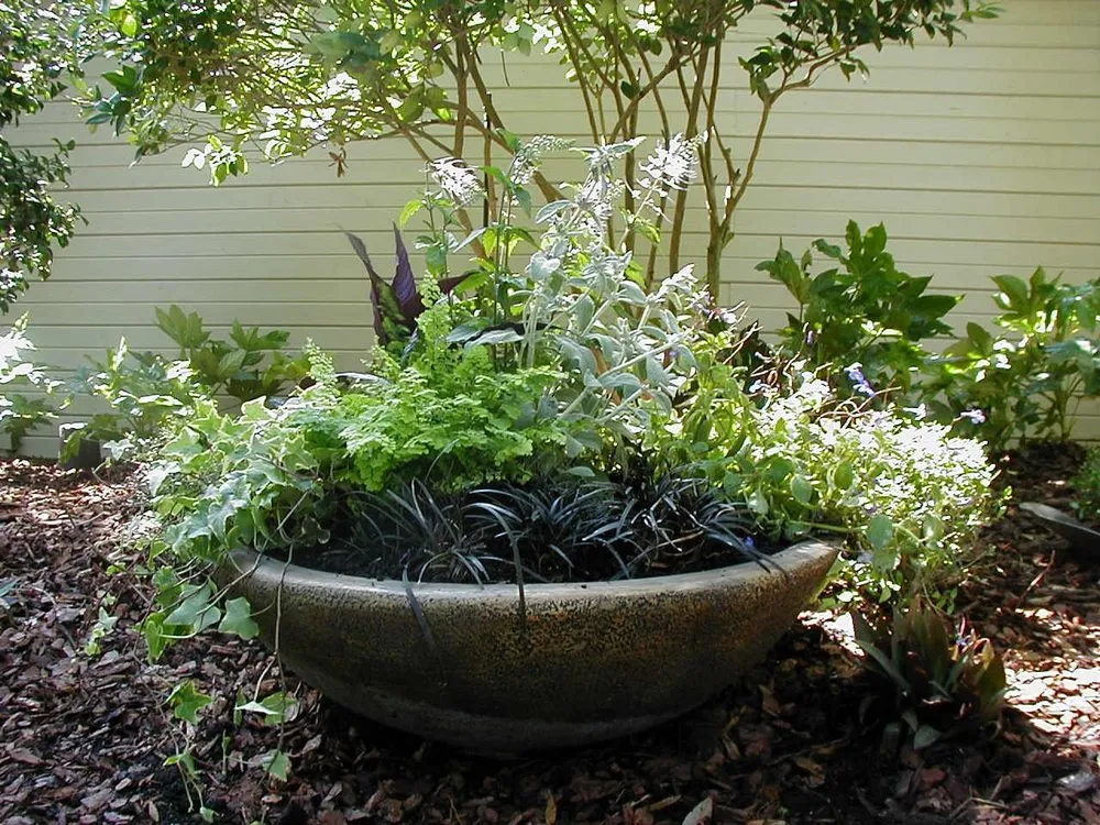 Affordable landscape design in Jacksonville, FL by The Landscape Express