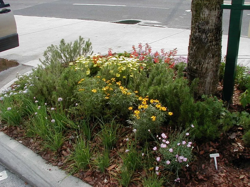 Local landscape design for homes across Jacksonville, FL - The Landscape Express