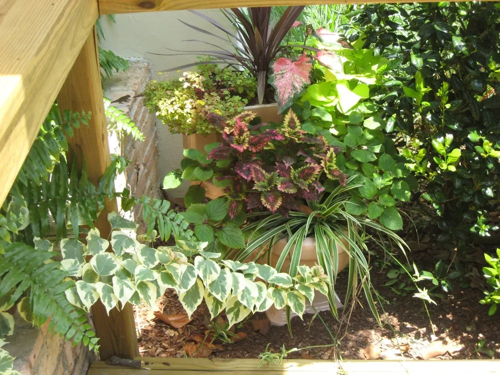 Local landscape installation in Jacksonville, FL - The Landscape Express