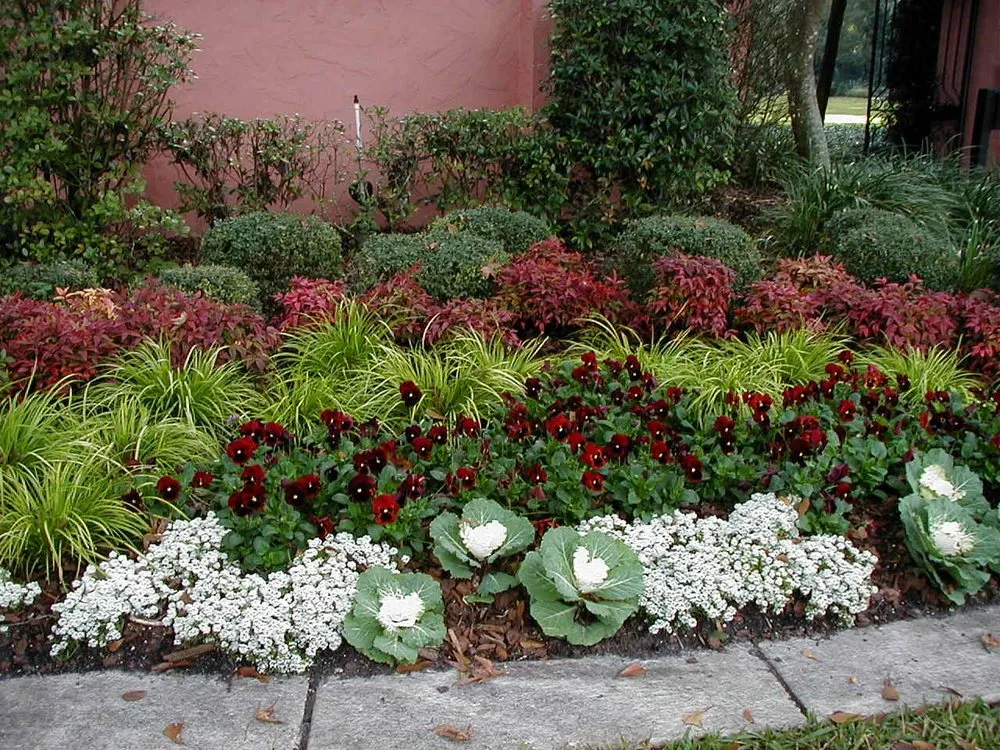 Top-rated outdoor landscaping in Jacksonville, FL - The Landscape Express