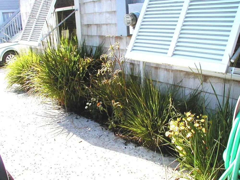 Affordable garden landscaping for residential properties across Jacksonville, FL - The Landscape Express