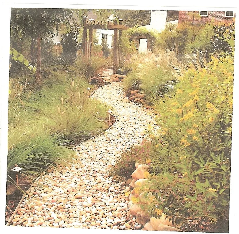 Professional yard maintenance in Jacksonville, FL - The Landscape Express