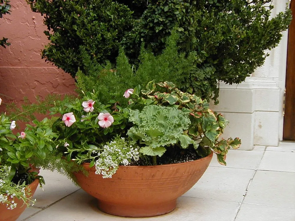 Local residential landscaping for year-round maintenance in Jacksonville, FL by The Landscape Express