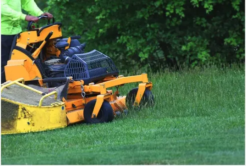 Professional yard maintenance in Decatur, GA by The Landscape Groomer