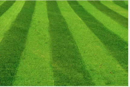 Top-rated outdoor landscaping in Decatur, GA by The Landscape Groomer