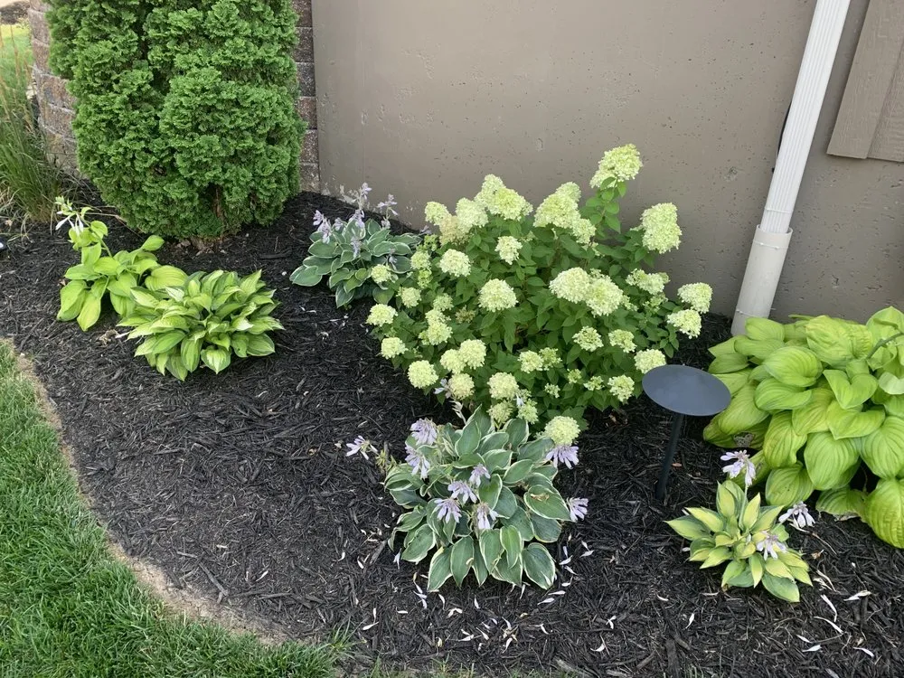 Trusted yard maintenance experts serving Blue Springs, MO - The Landscape Group KC