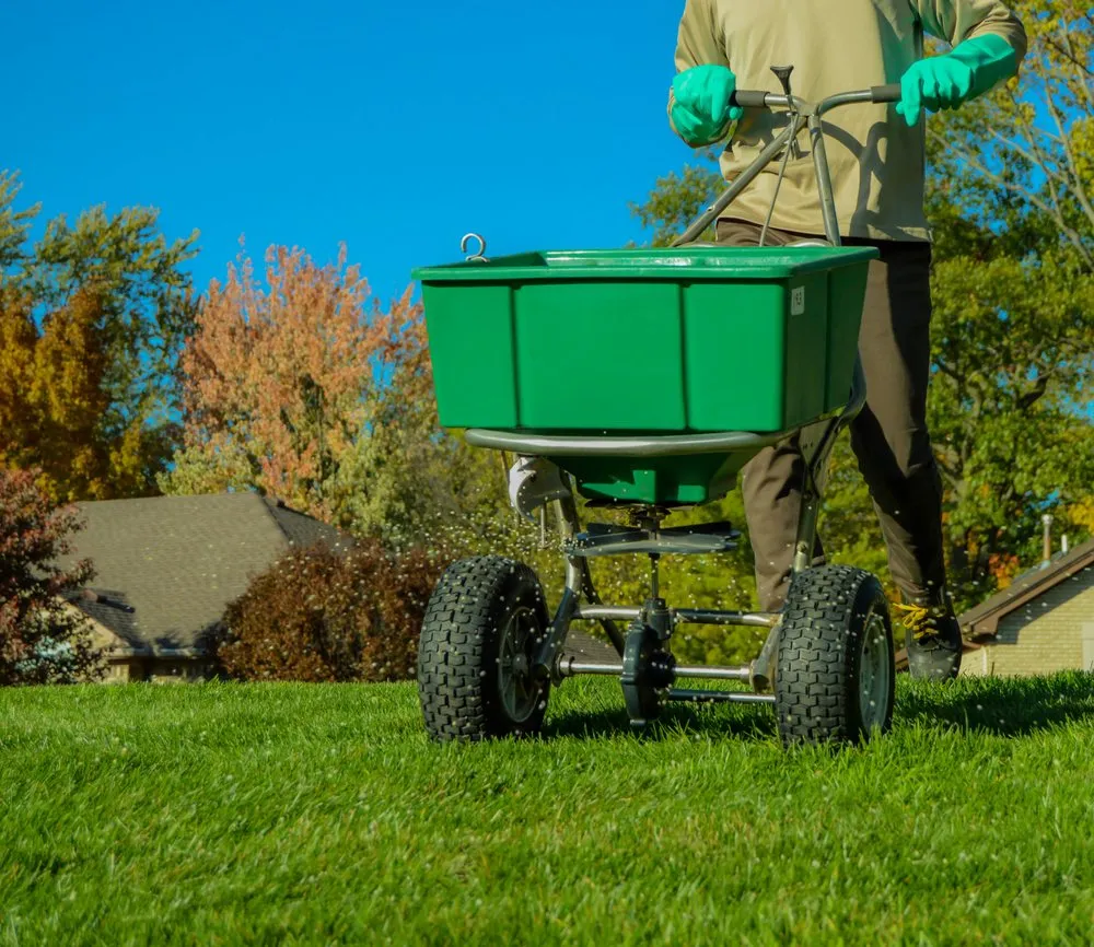 Reliable landscape design for year-round maintenance across Blue Springs, MO - The Landscape Group KC