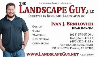 Custom residential landscaping in Peoria, AZ - The Landscape Guy