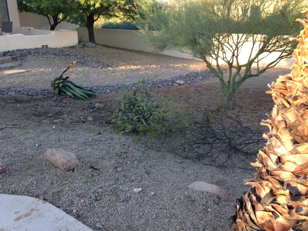 Local yard cleanup service for beautiful yards in Peoria, AZ by The Landscape Guy