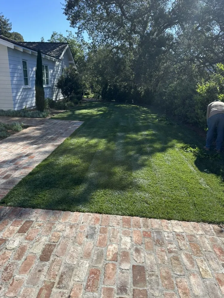 Professional yard maintenance for beautiful yards in Victorville, CA by The Landscape Guys