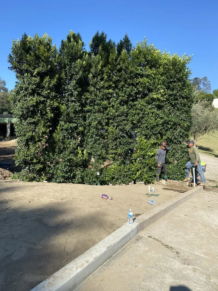 Professional lawn mowing service in Victorville, CA - The Landscape Guys