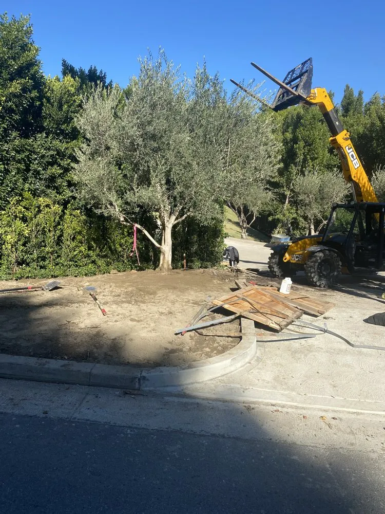 Affordable yard cleanup service in Victorville, CA by The Landscape Guys