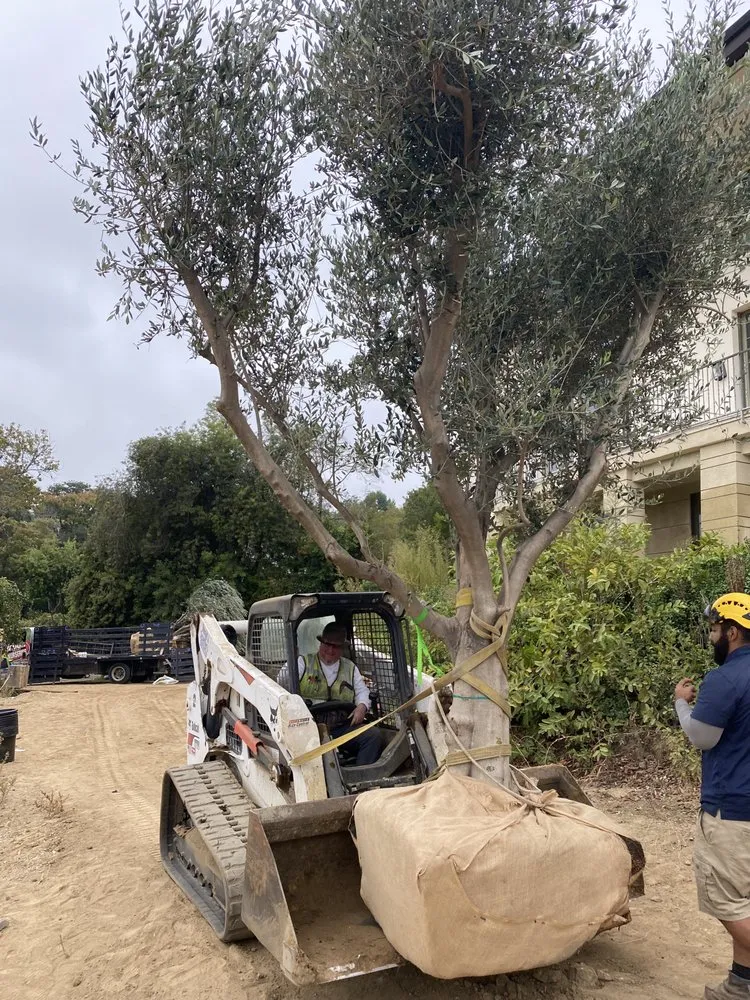 Expert residential landscaping near you in Victorville, CA by The Landscape Guys