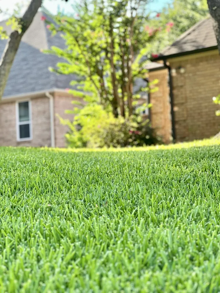 Affordable outdoor landscaping experts serving Fort Worth, TX - The Landscape Lasso