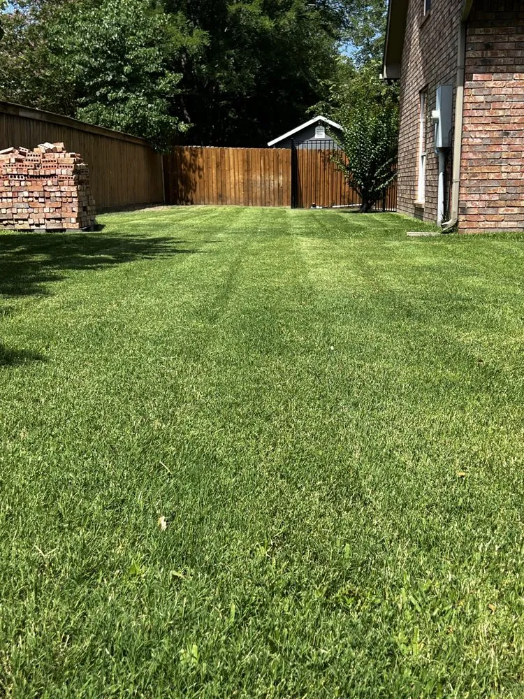 Custom yard maintenance experts serving Fort Worth, TX - The Landscape Lasso