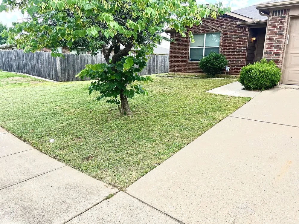 Trusted lawn mowing service experts serving Fort Worth, TX - The Landscape Lasso