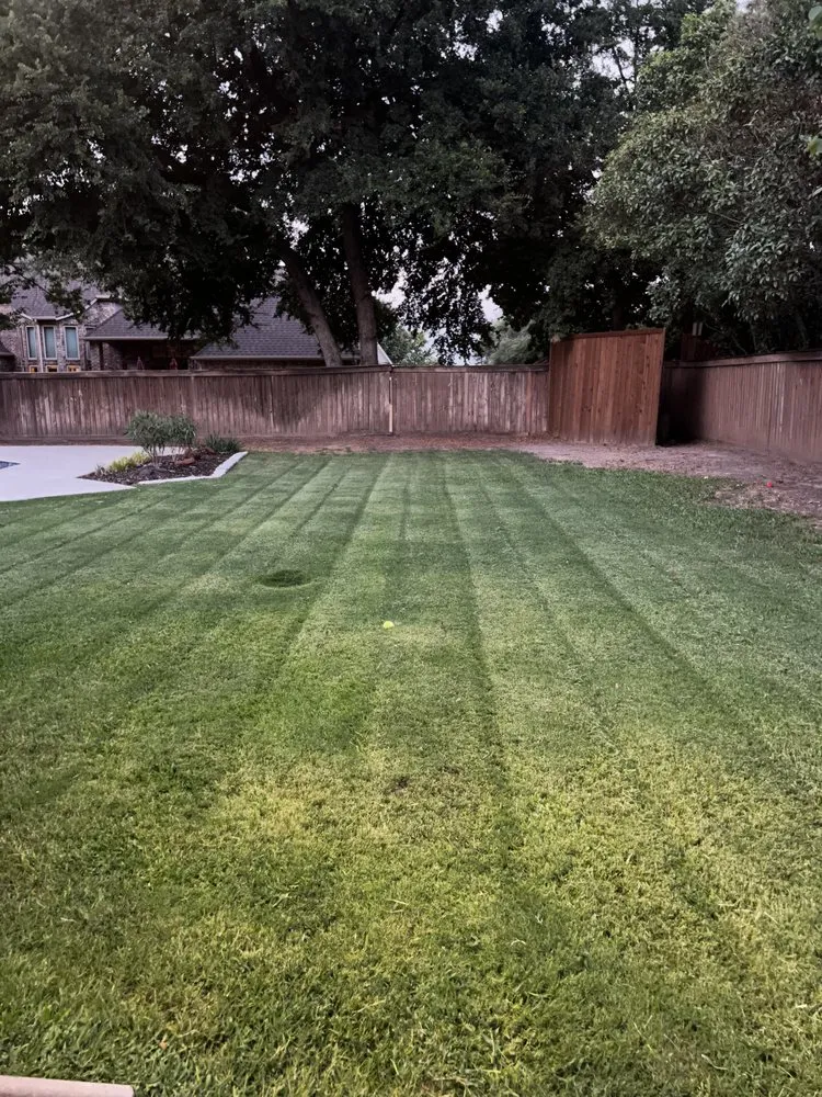 Reliable yard cleanup service in Fort Worth, TX - The Landscape Lasso