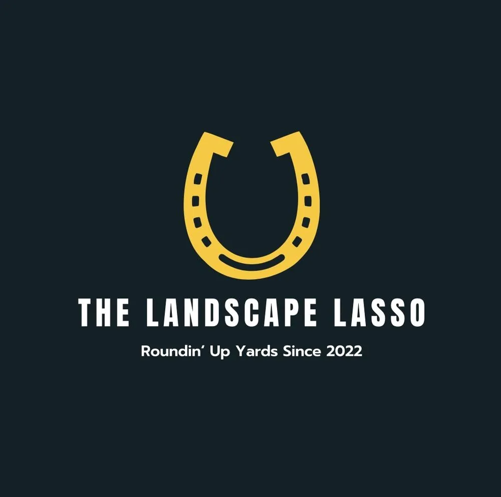 Top-rated residential landscaping with custom design in Fort Worth, TX by The Landscape Lasso