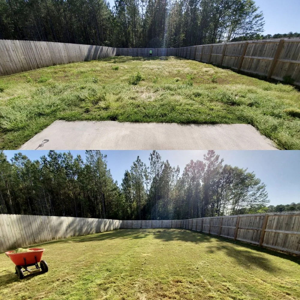 Reliable landscape installation in Ludowici, GA - The Landscape Locals