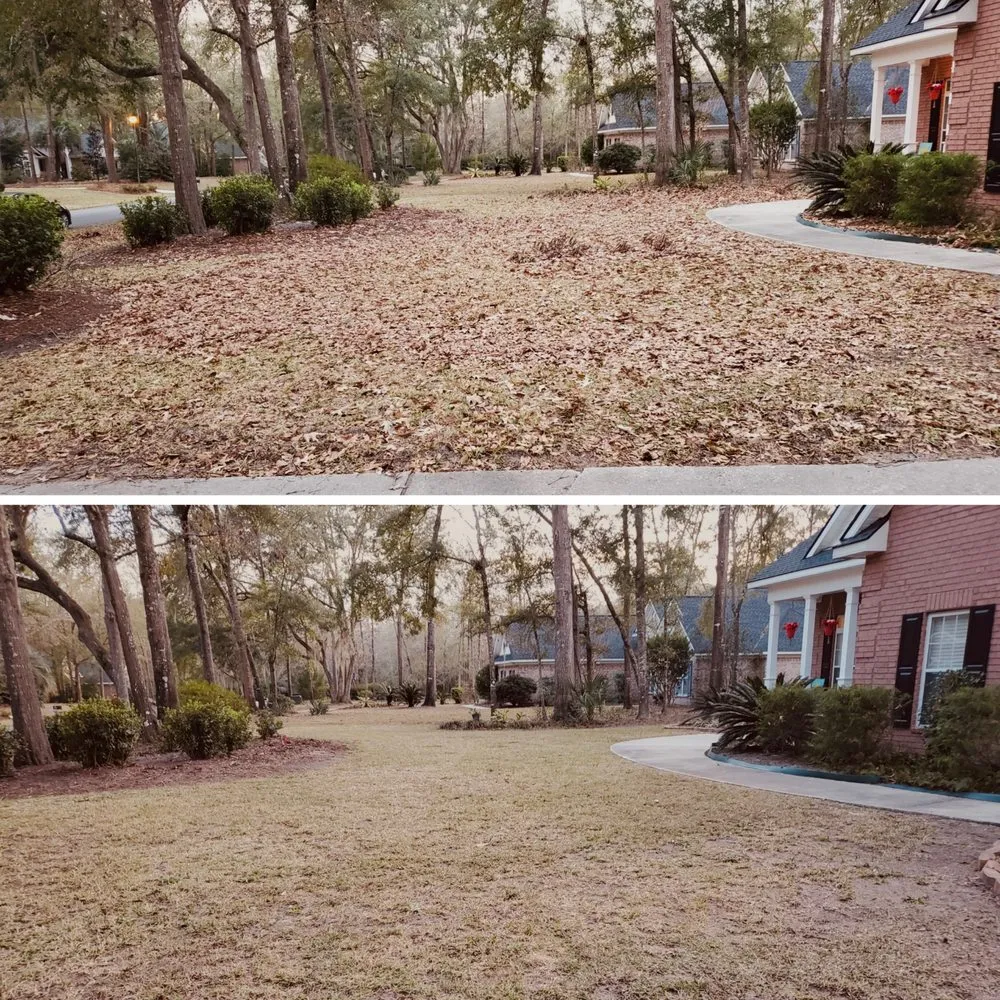 Affordable lawn mowing service near you in Ludowici, GA by The Landscape Locals