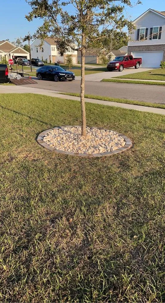 Affordable lawn care service for year-round maintenance in Ludowici, GA by The Landscape Locals