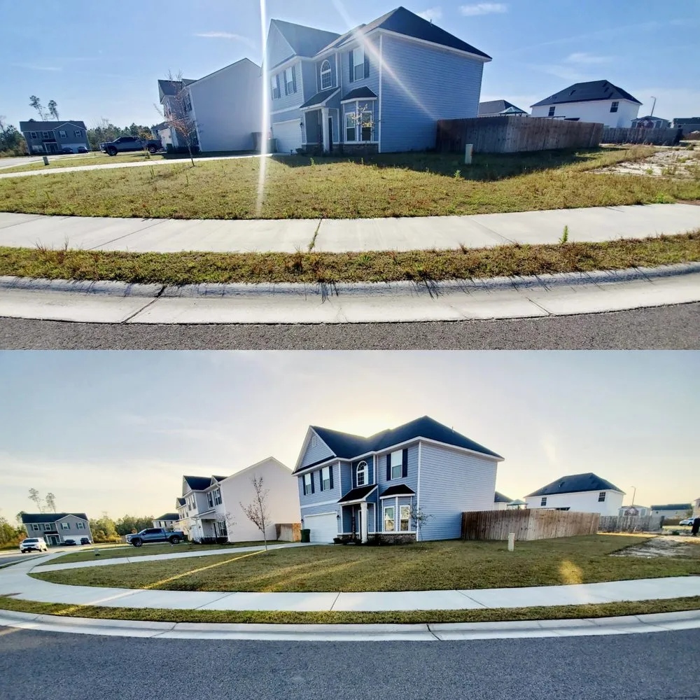 Top-rated yard maintenance in Ludowici, GA - The Landscape Locals