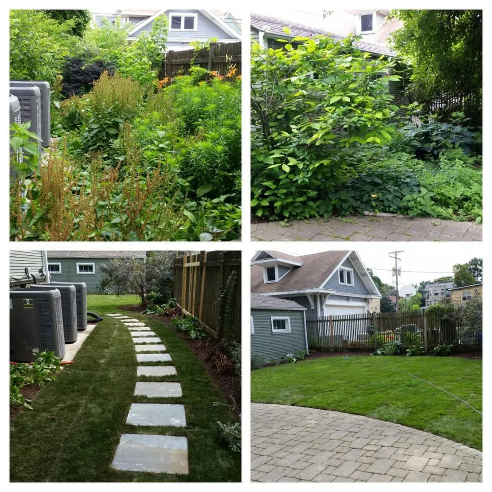 Trusted landscaping services in Bolingbrook, IL - The Landscape Specialists