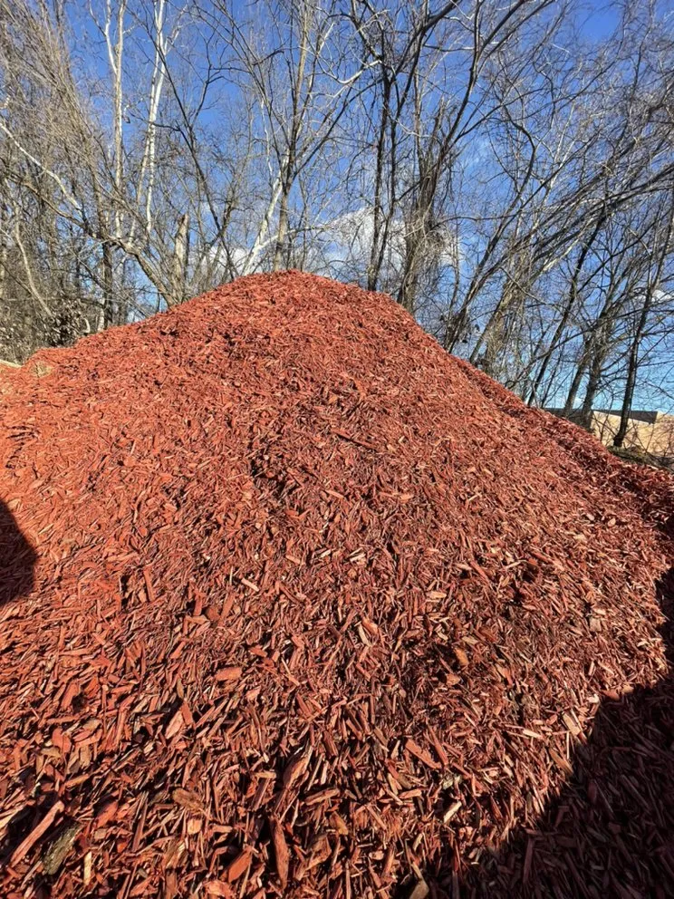 Custom yard cleanup service in Salem, VA - The Landscape Store