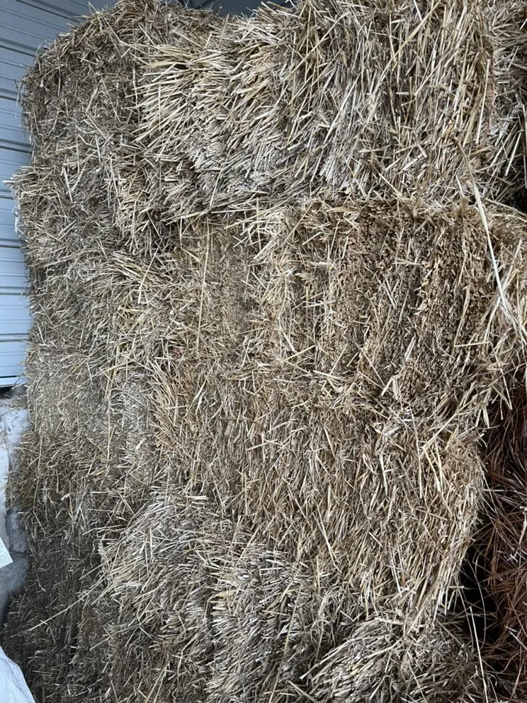 Top-rated outdoor landscaping near you in Salem, VA by The Landscape Store