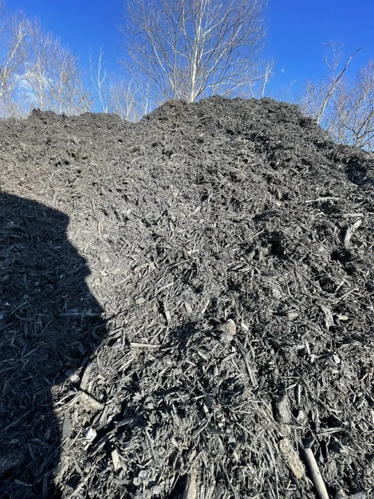 Reliable yard maintenance for residential properties across Salem, VA - The Landscape Store