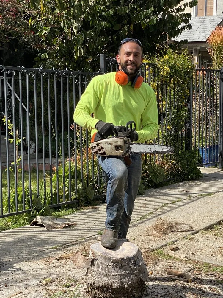 Reliable landscaping services with custom design in Los Angeles, CA by The Landscape Watch