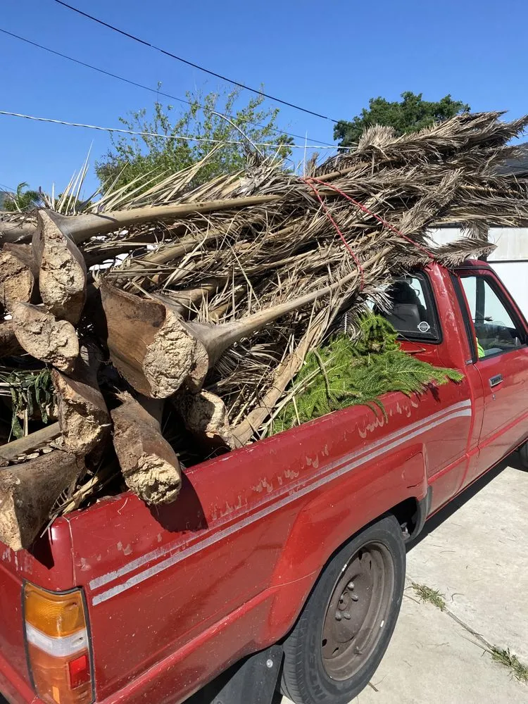 Trusted garden landscaping in Los Angeles, CA - The Landscape Watch