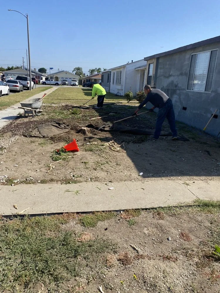 Local lawn care service experts serving Los Angeles, CA - The Landscape Watch