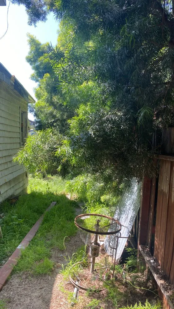 Reliable outdoor landscaping for outdoor upgrades across Los Angeles, CA - The Landscape Watch