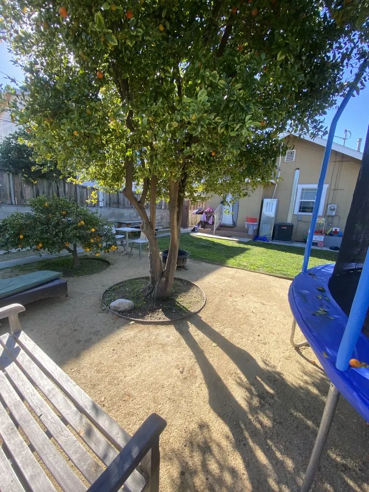 Local lawn mowing service experts serving Los Angeles, CA - The Landscape Watch